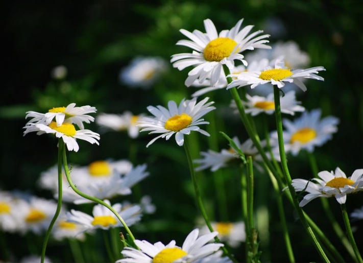 1631175591291374.jpg 1631175591291374.jpg