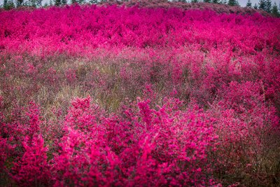 1631186091704539.jpg 1631186091704539.jpg