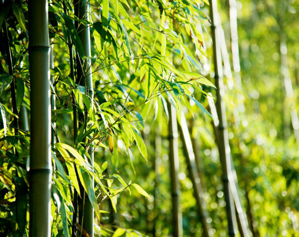 1631186436134762.jpg 1631186436134762.jpg