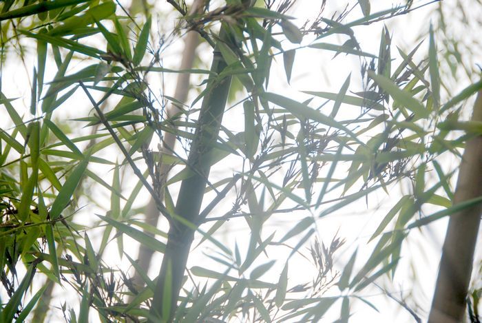 1631186453591520.jpg 1631186453591520.jpg