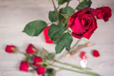 1631186956706102.jpg 1631186956706102.jpg