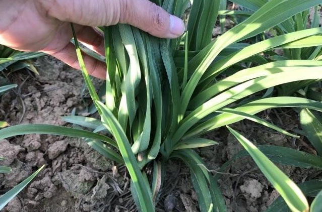 1631193711178963.jpg blob.jpg