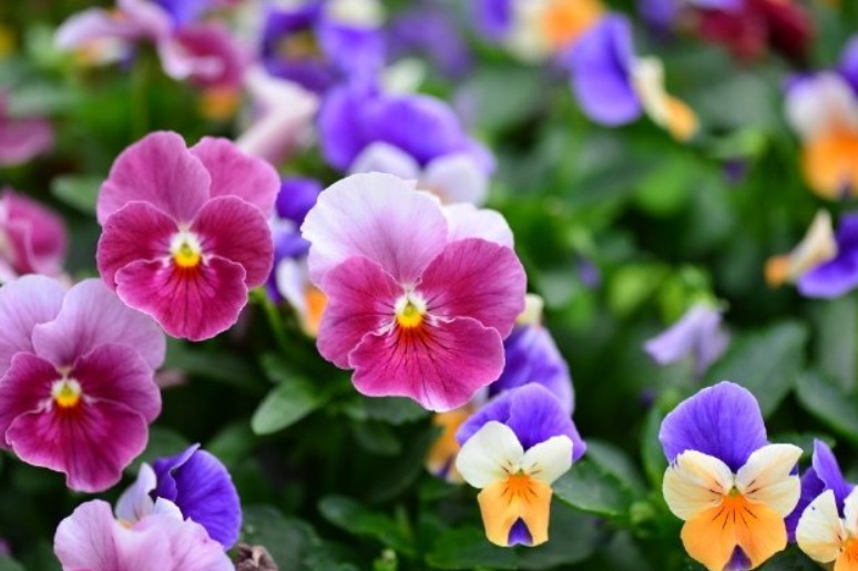 1631275179778156.jpg 1631275179778156.jpg