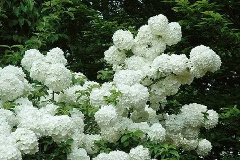 1631416522851992.jpg 1631416522851992.jpg