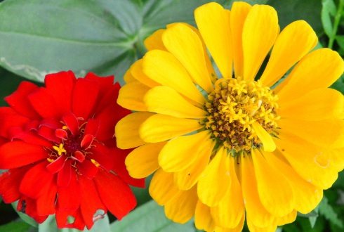 1631434314123454.jpg image.jpg