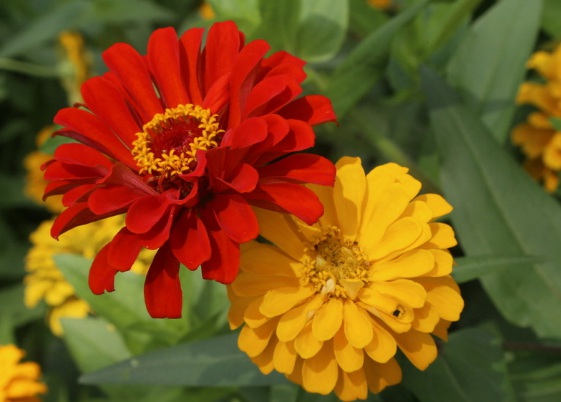 1631434331553483.jpg image.jpg