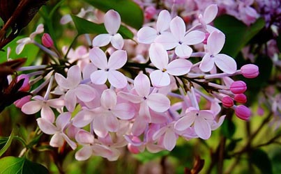 1631443735372090.jpg 1631443735372090.jpg