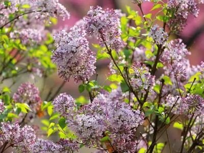 1631443794563273.jpg 1631443794563273.jpg