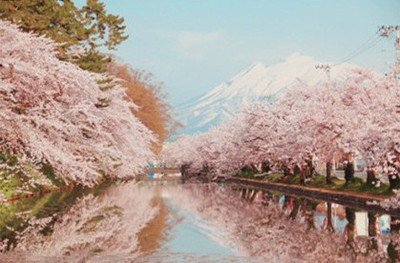 1631446127179652.jpg 1631446127179652.jpg