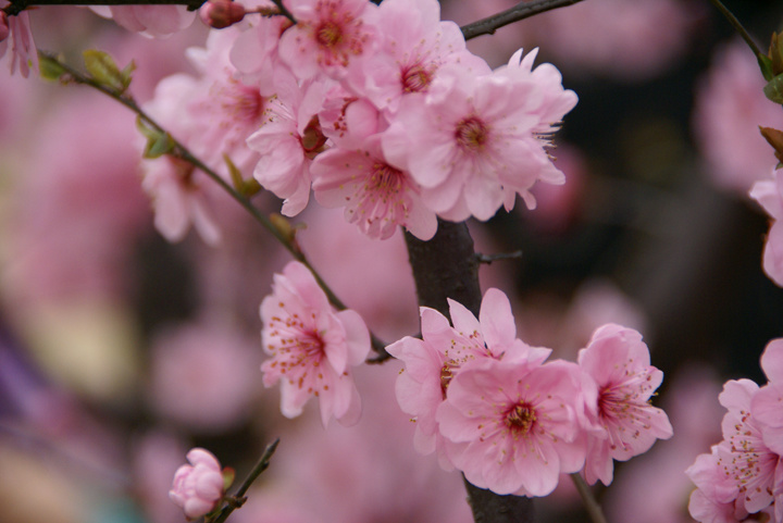 1631446158201936.jpg 1631446158201936.jpg