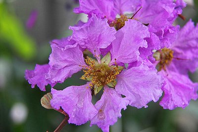 1631446628161475.jpg 1631446628161475.jpg