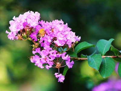 1631446659263801.jpg 1631446659263801.jpg