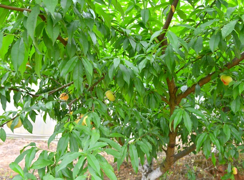 1631453359662227.jpg image.jpg