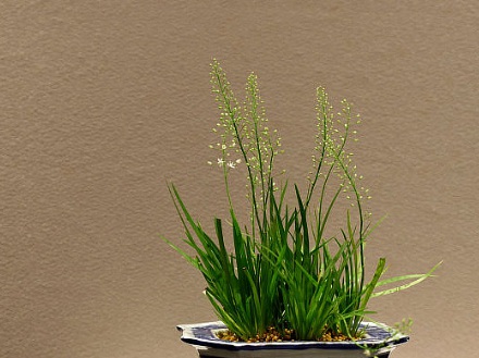 1631453430914457.jpg image.jpg