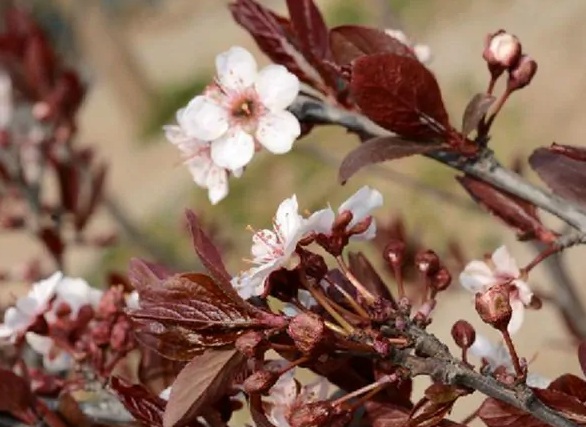 1631491518379065.jpg 1631491518379065.jpg