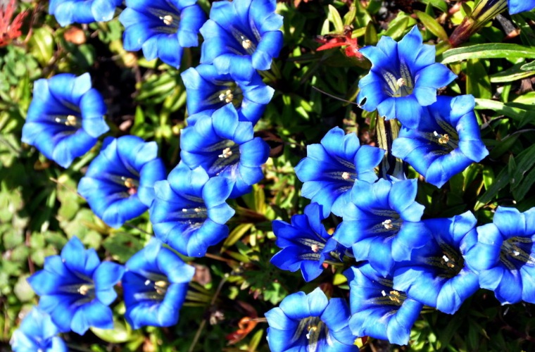 1631500796263388.jpg 1631500796263388.jpg