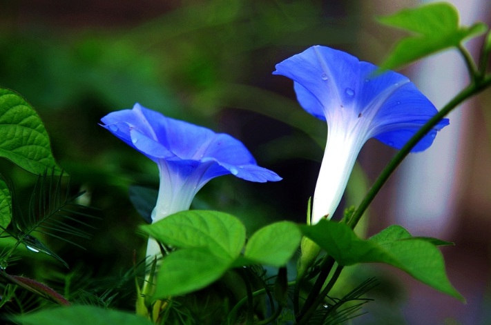 1631513439196753.jpg 1631513439196753.jpg