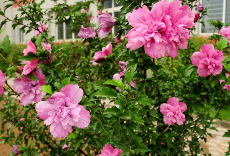 1631513997112765.jpg 1631513997112765.jpg