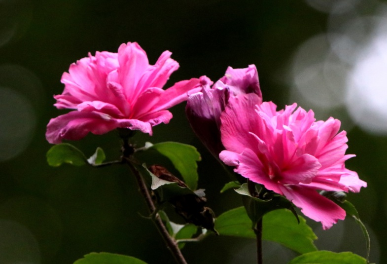 1631514024892420.jpg 1631514024892420.jpg