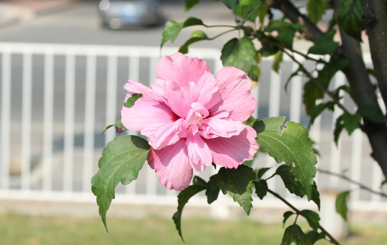 1631514088530743.jpg 1631514088530743.jpg