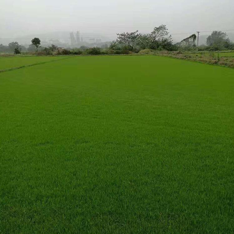 1631584916307120.jpg 1631584916307120.jpg