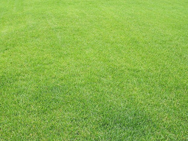 1631584952606327.jpg 1631584952606327.jpg