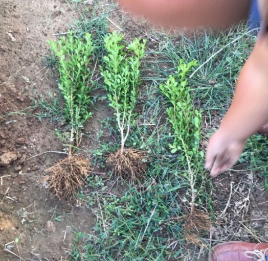 1631606920396744.jpg image.jpg