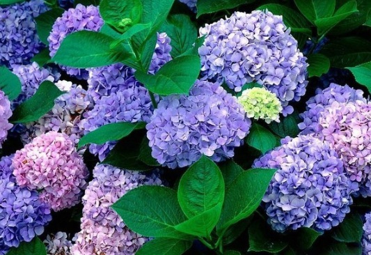 1631607680447341.jpg image.jpg