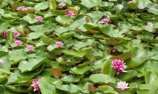 1631607839731540.jpg image.jpg