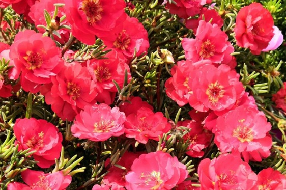 1631608676551823.jpg image.jpg