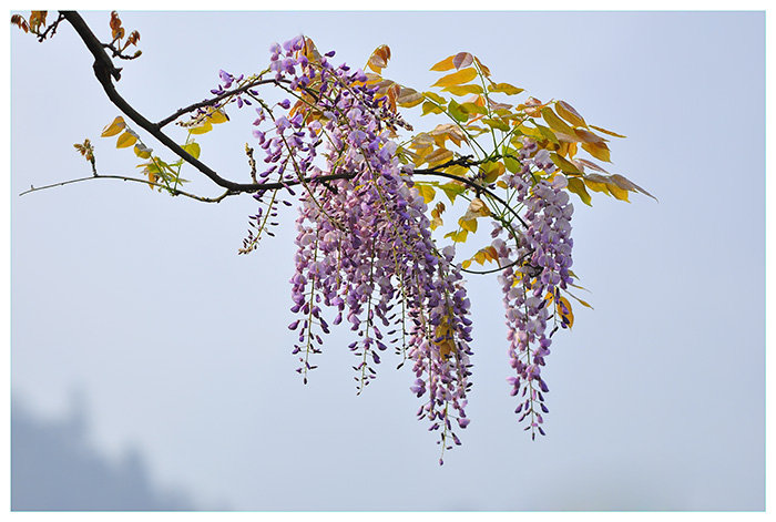 1631669206587911.jpg 1631669206587911.jpg