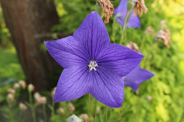 1631669446227660.jpg 1631669446227660.jpg