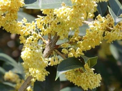 1631670679239347.jpg 1631670679239347.jpg