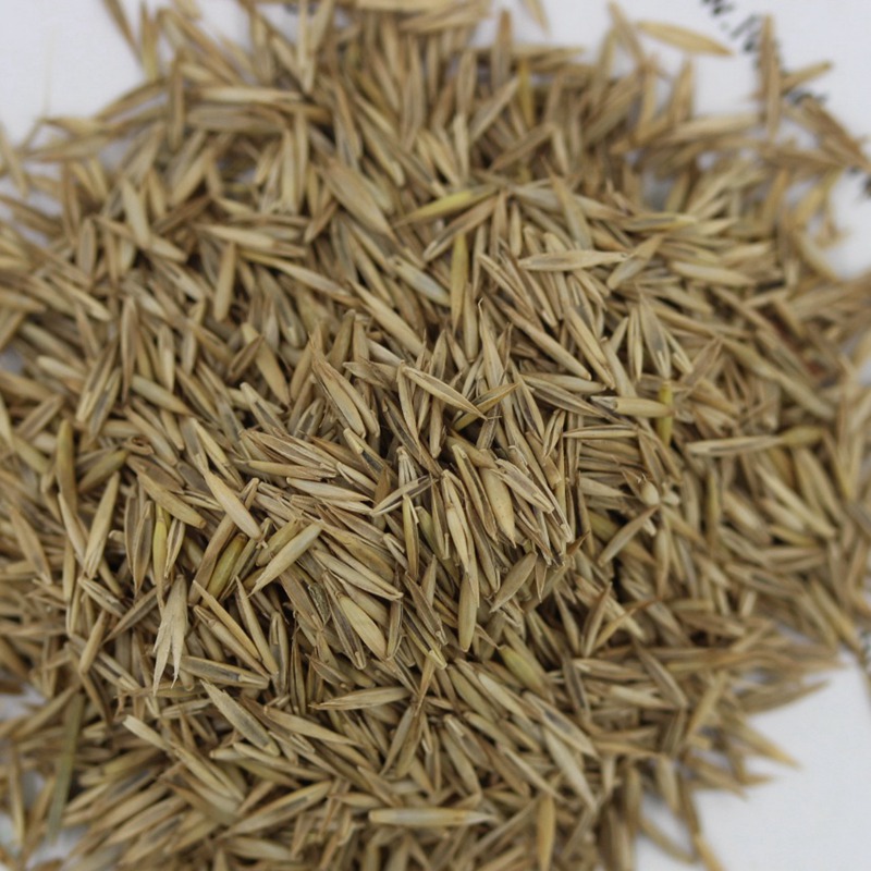 1631689943386515.jpg 0e52f2aabf088e191f4fe5c799dd00b6_1584756676157175.jpg