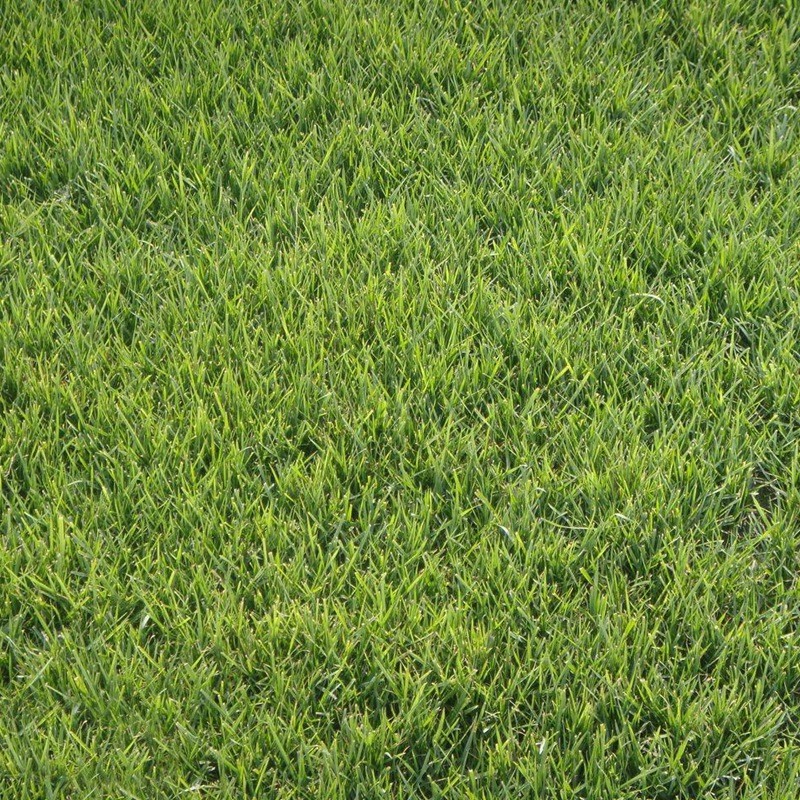 1631689964407372.jpg 7212d492eb622f0f4862020932642d2f_1584756767135139.jpg