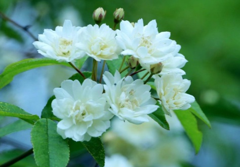 1631749936540320.jpg 1631749936540320.jpg