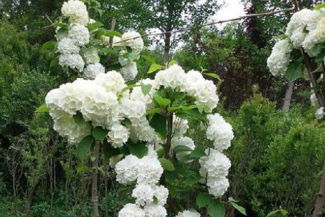 1631749945496988.jpg 1631749945496988.jpg