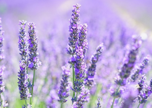 1631750025913822.jpg 1631750025913822.jpg