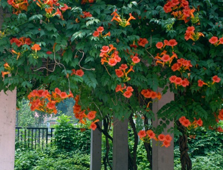 1631750409285363.jpg 1631750409285363.jpg