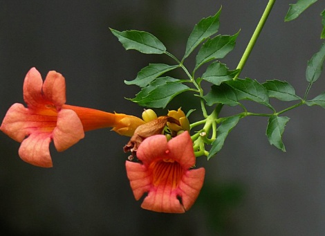 1631750416522323.jpg 1631750416522323.jpg