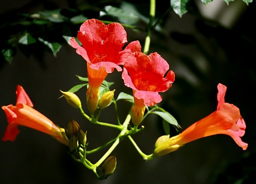 1631750423274712.jpg 1631750423274712.jpg