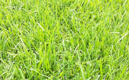 1631751342451752.jpg 1631751342451752.jpg