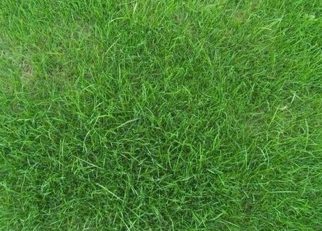 1631751782182749.jpg 1631751782182749.jpg