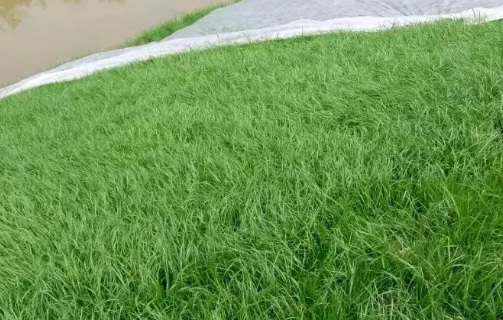 1631751804380918.jpg 1631751804380918.jpg