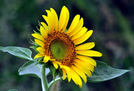 1631752104608779.jpg 1631752104608779.jpg