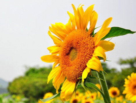 1631752116906175.jpg 1631752116906175.jpg