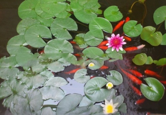 1631787294119020.jpg image.jpg