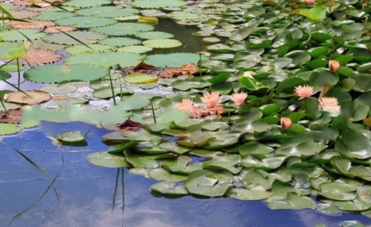 1631788281934254.jpg image.jpg