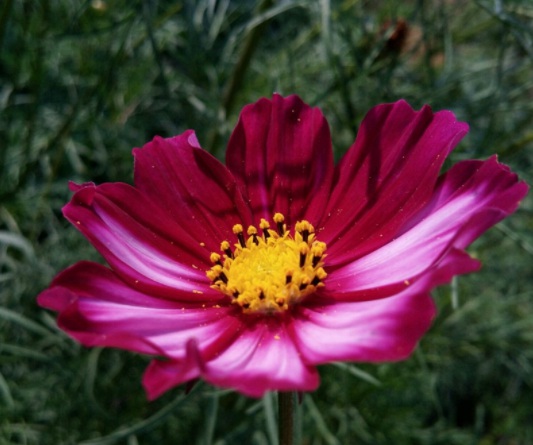 1631788571949003.jpg image.jpg