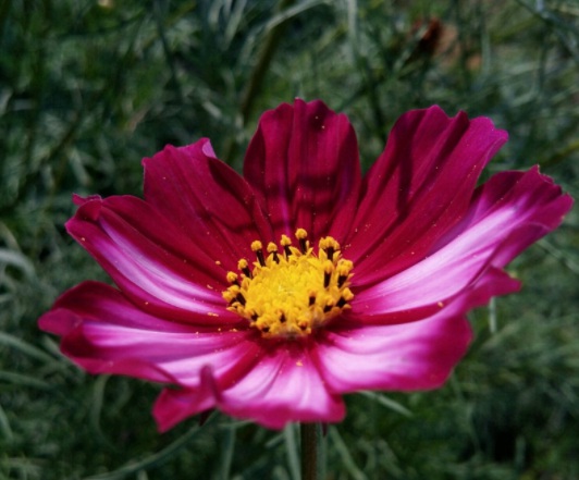 1631788860665824.jpg image.jpg